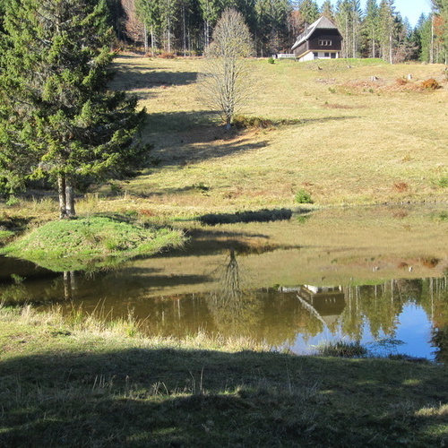 Am Fischweiher - 